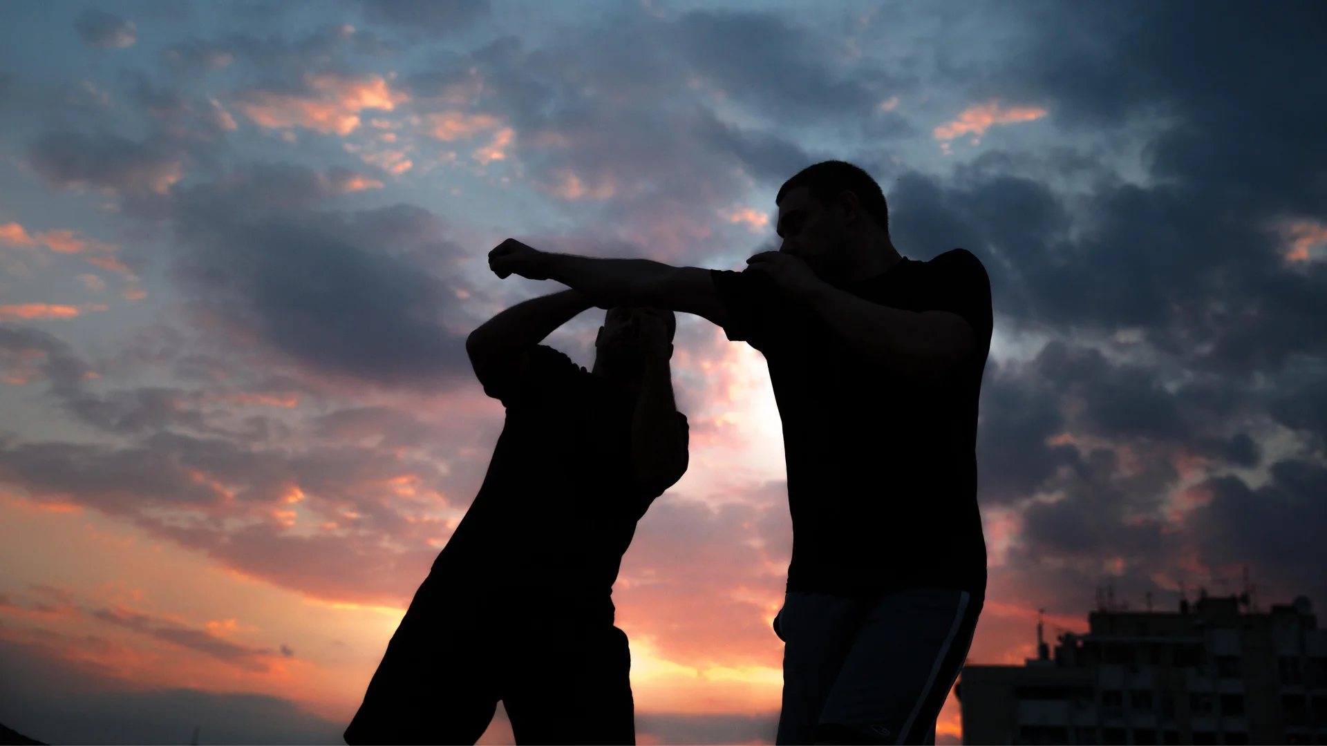 Krav Maga Impact System